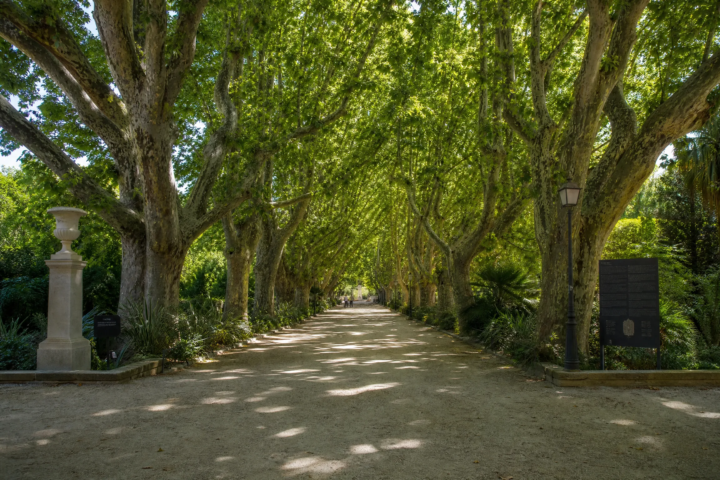 Jardin des Plantes de Montpellier pour une rencontre senior